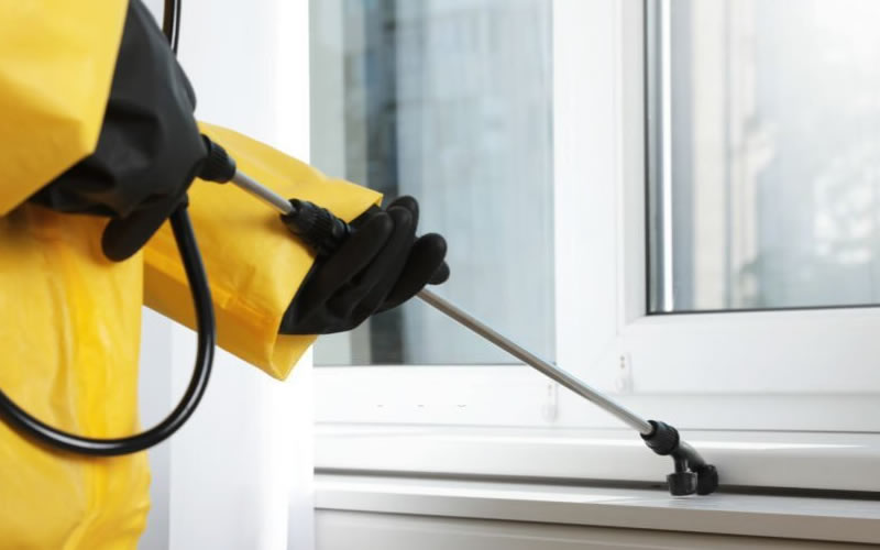 Top 10 Reasons You Need Pest Control