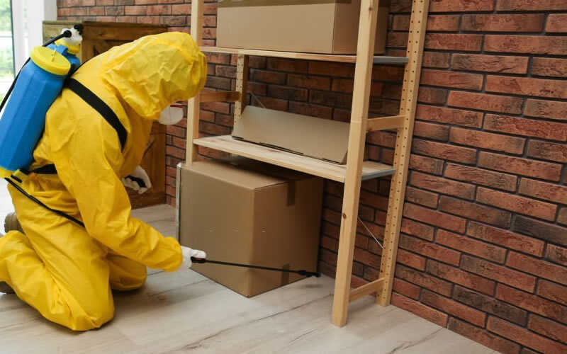 Why Pest Control Is Necessary?